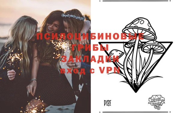 спиды Вязьма