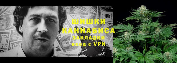 амф Горнозаводск